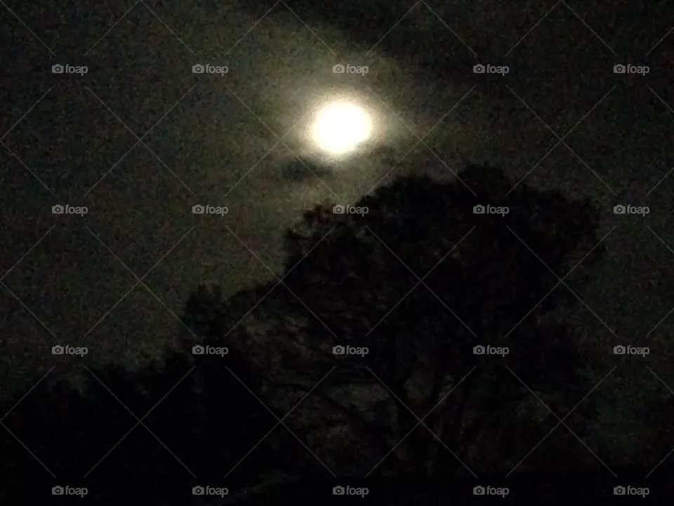 Moon