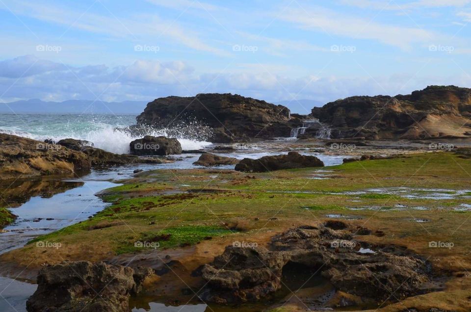 Vancouver island seascape