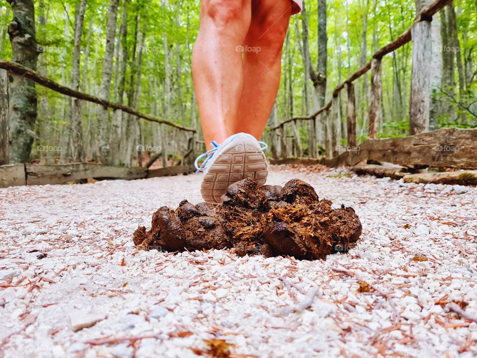 man is about to crush the manure with his foot