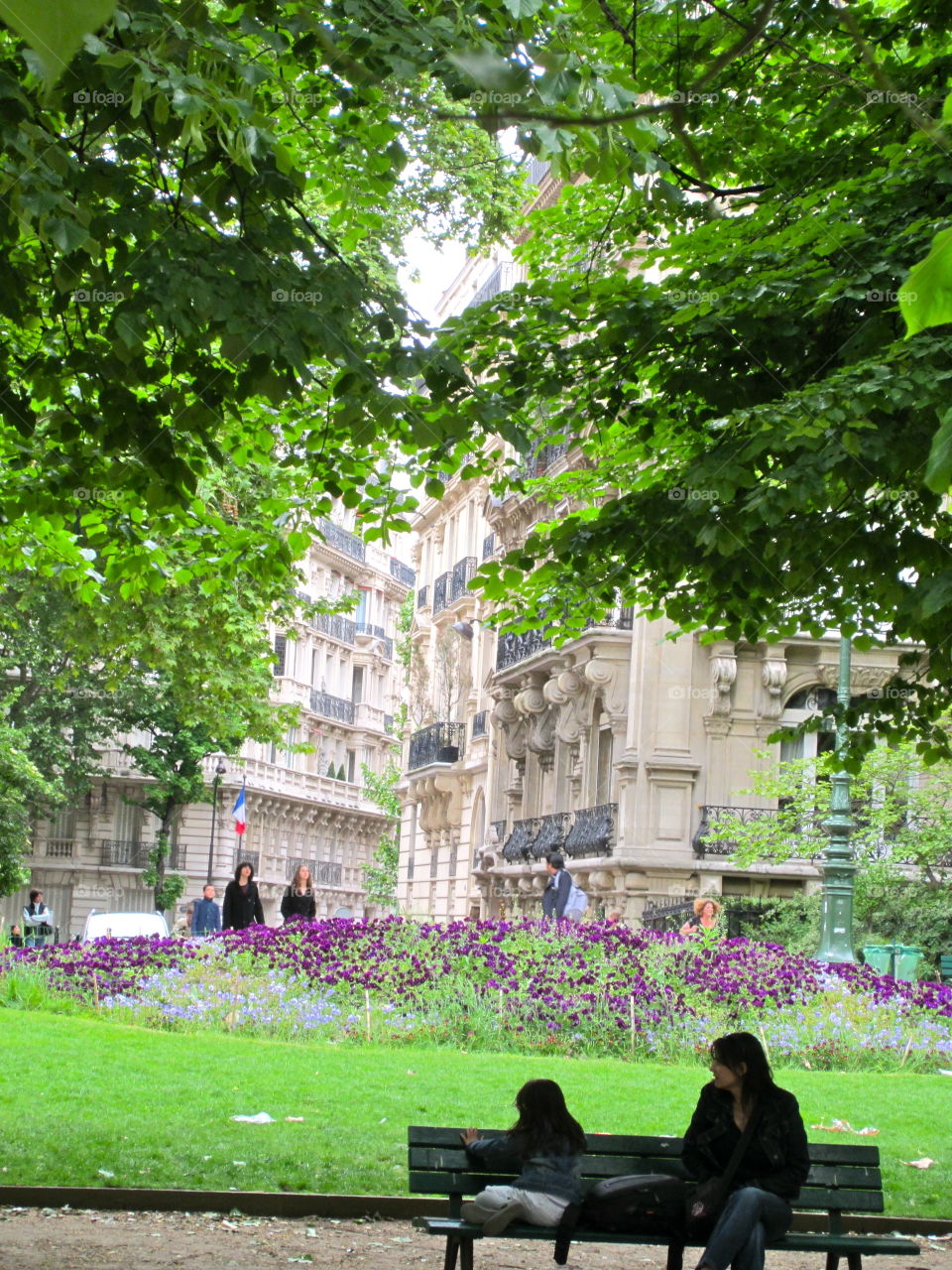 Tree, Park, Garden, Flower, Landscape