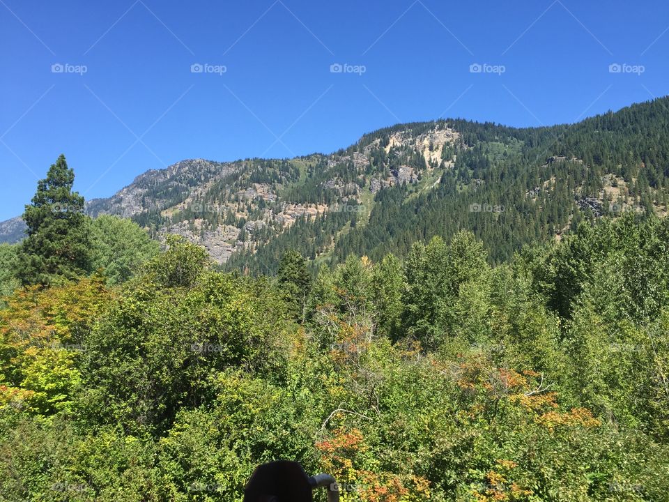 Wood, No Person, Tree, Mountain, Travel