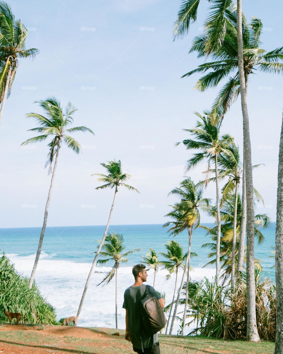 palm trees on beach