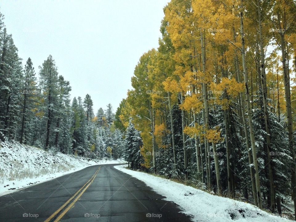 united states aspens flagstaff winter driving by sabont