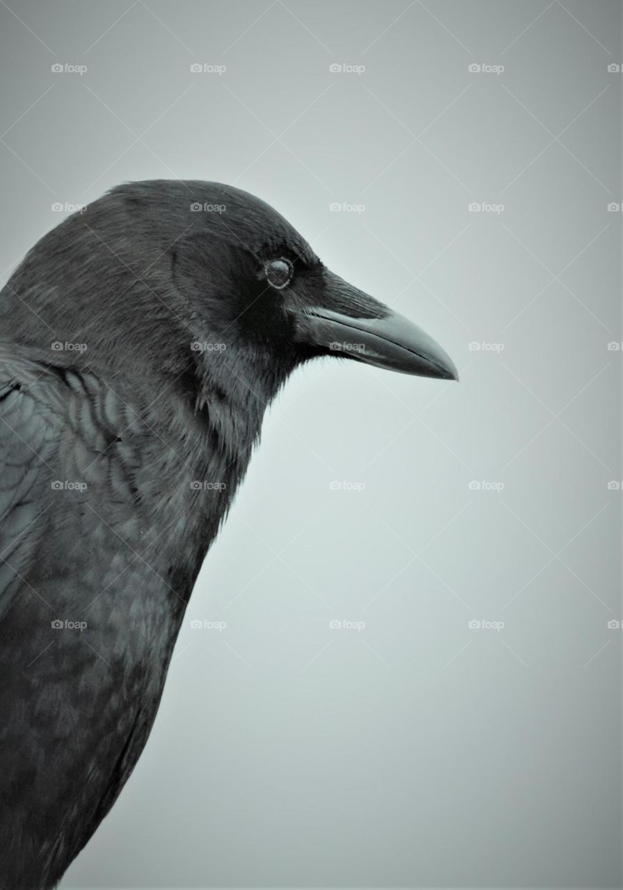 Vancouver canada place