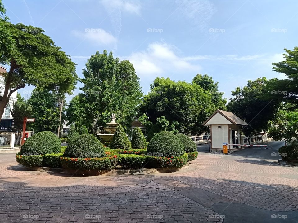 Garden in the village