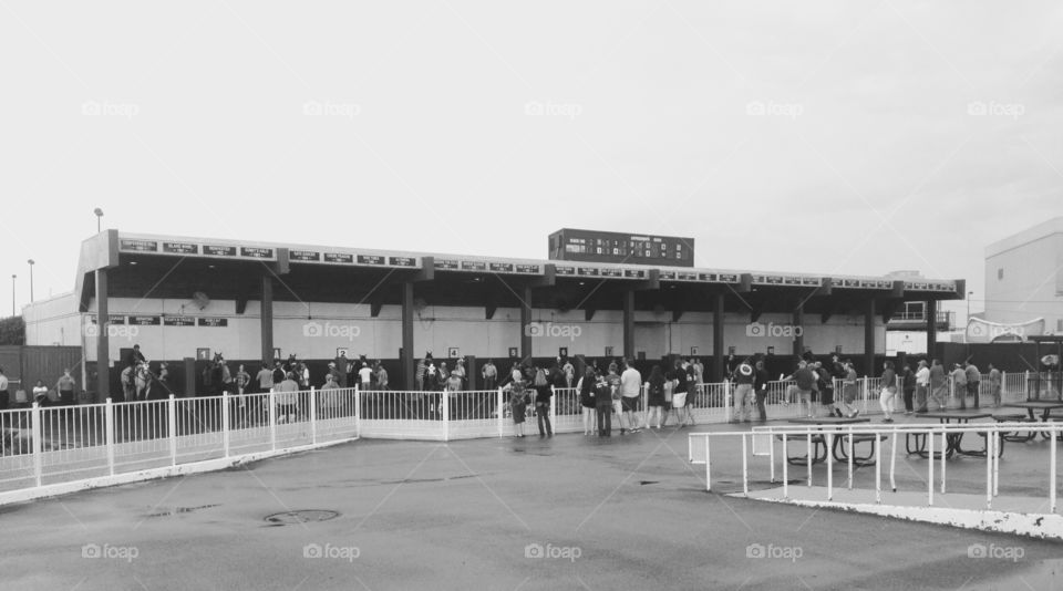 Paddock at Louisiana Downs in Bossier City, LA