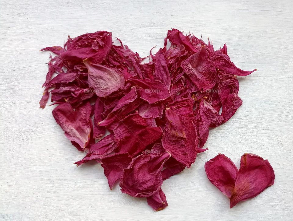 magenta colour hearts 💕 from dry petals