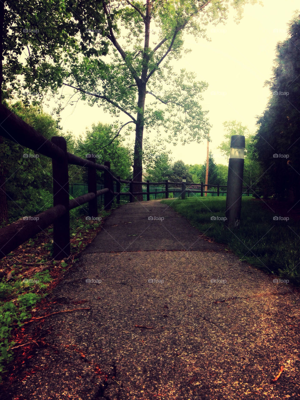 EVENING WALKWAY