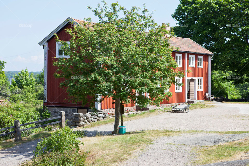 sweden red tree hus by multiart