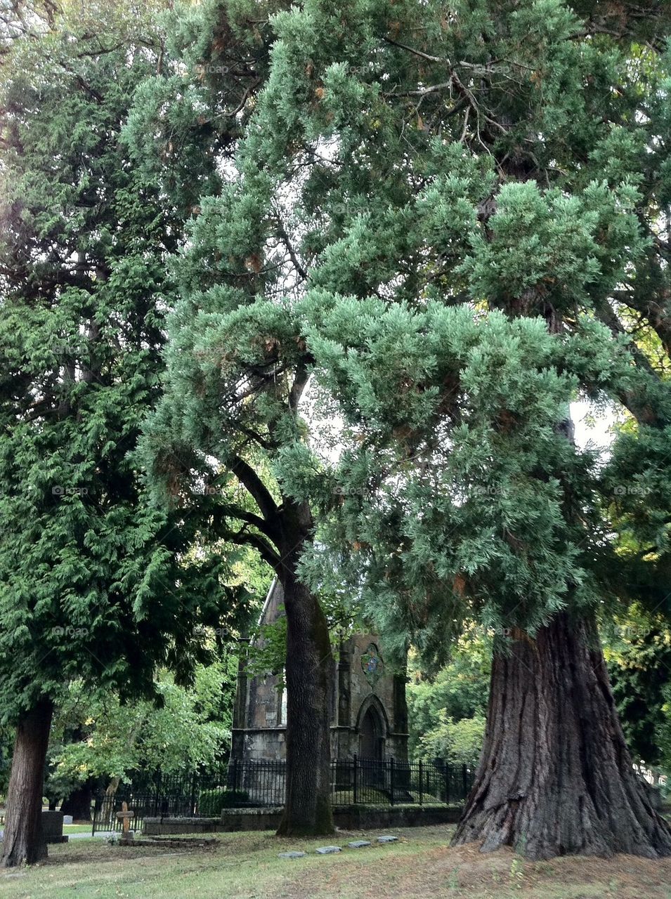 Portland cemetery