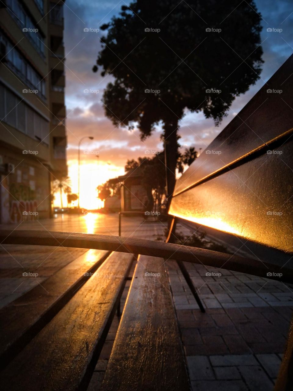 Bench at sunrise