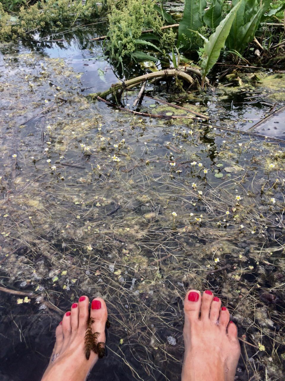 Feet and the bog