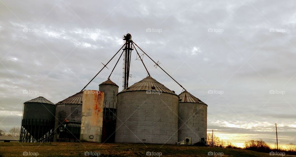 Grain Silo