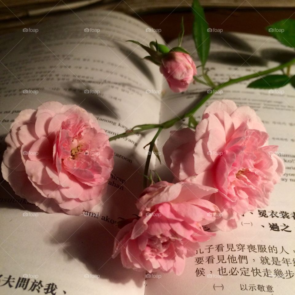 Book and flower