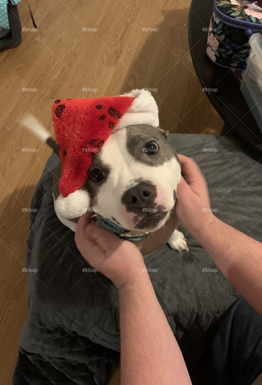 Santa’s helper