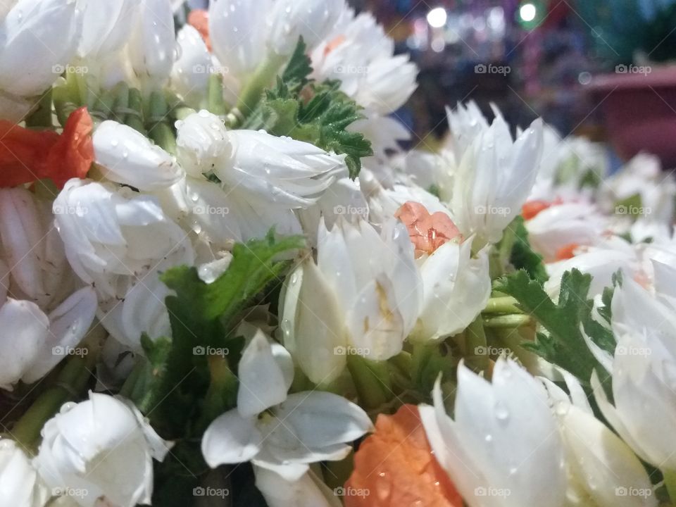 Worship flower