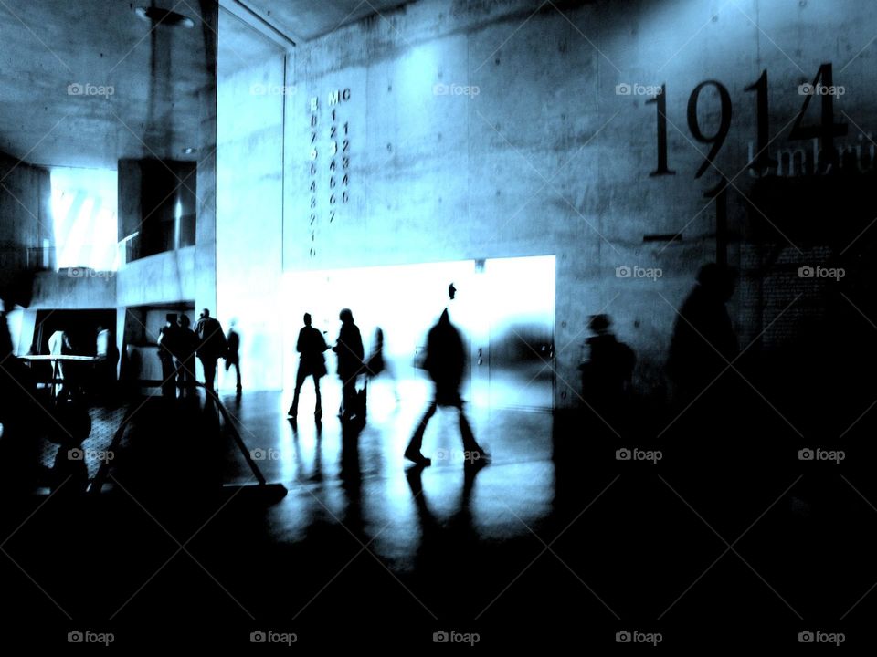 Shadows in the light 