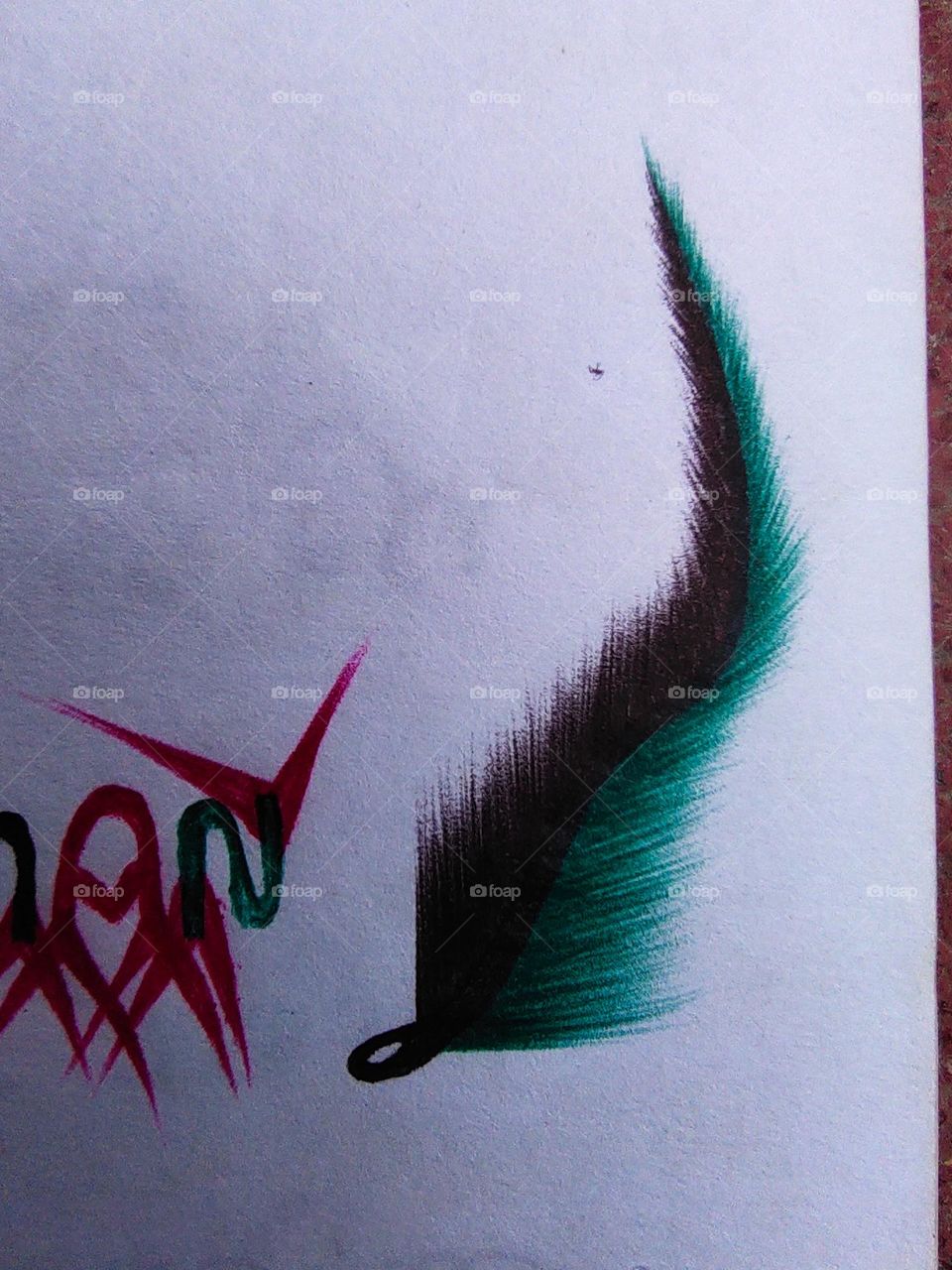 The picture of Tia bird's feathers looks very beautiful.  I took this picture myself.  I'm on the account page guys.