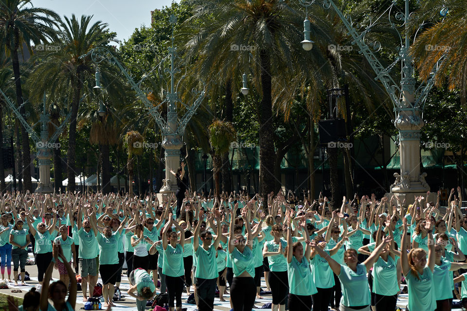 Green Crowd