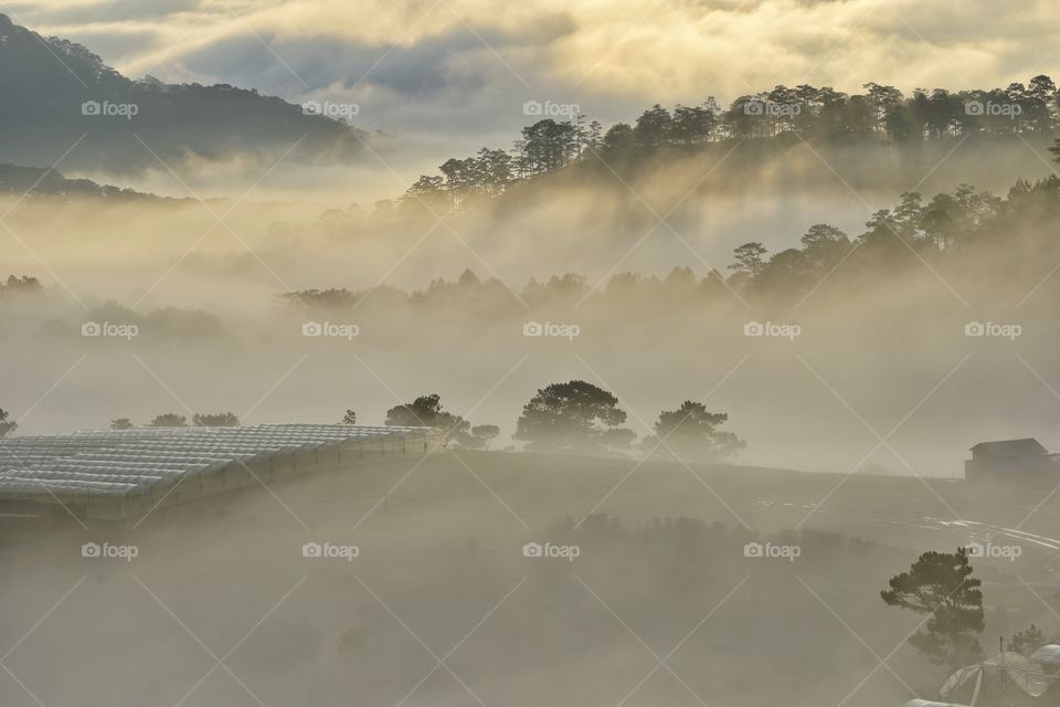 farm houses in foggy morning