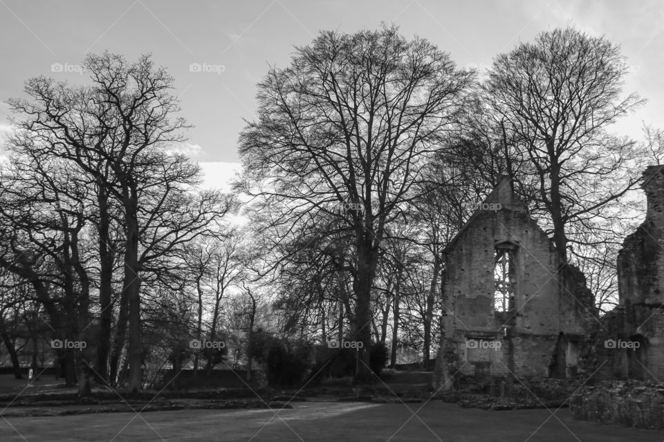 Minster Lovell Hall Ruins