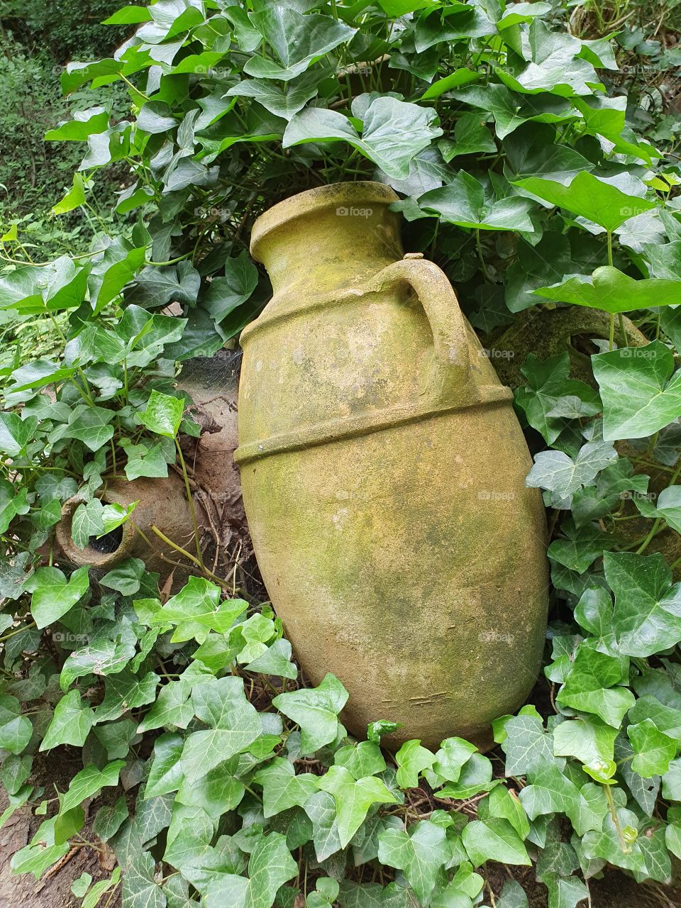 clay jug