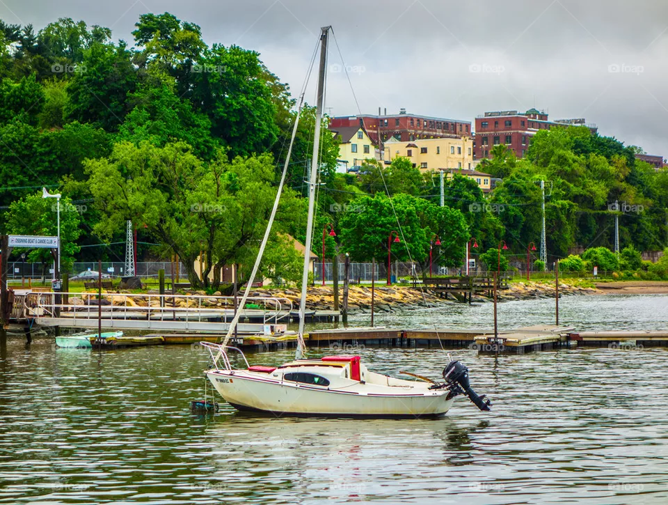 THE BAY