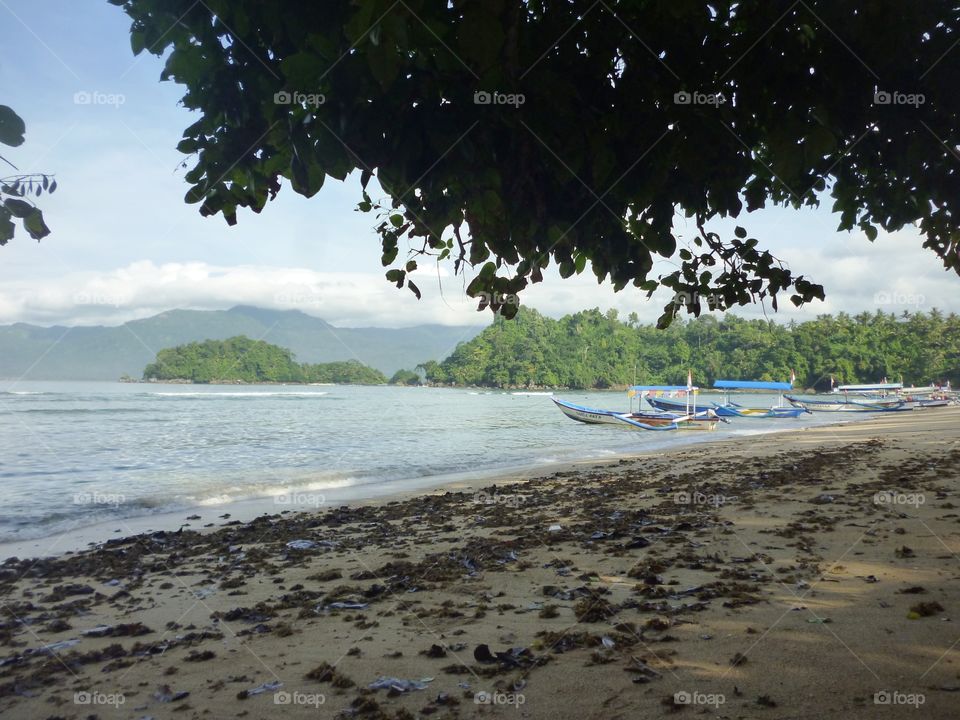 sea coastal beach