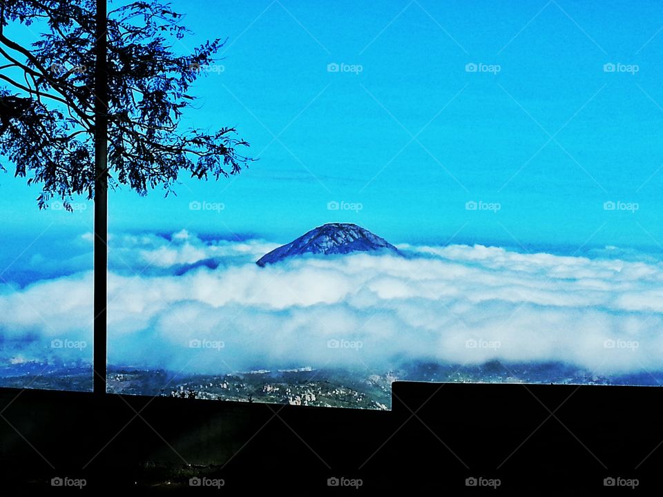 amazing nature. amazing  nature