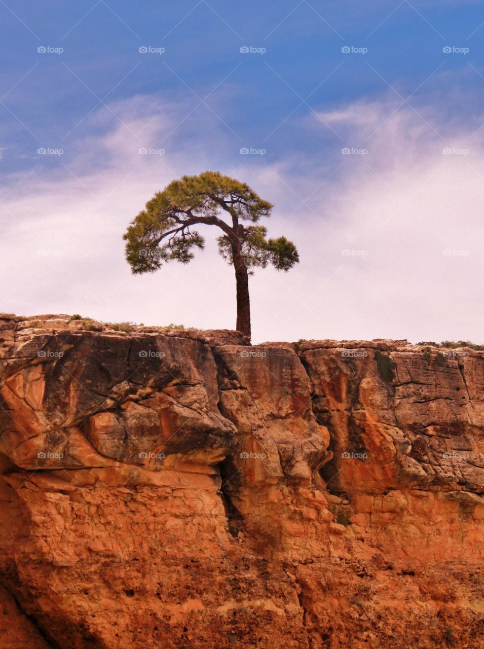 Growth in a challenging environment