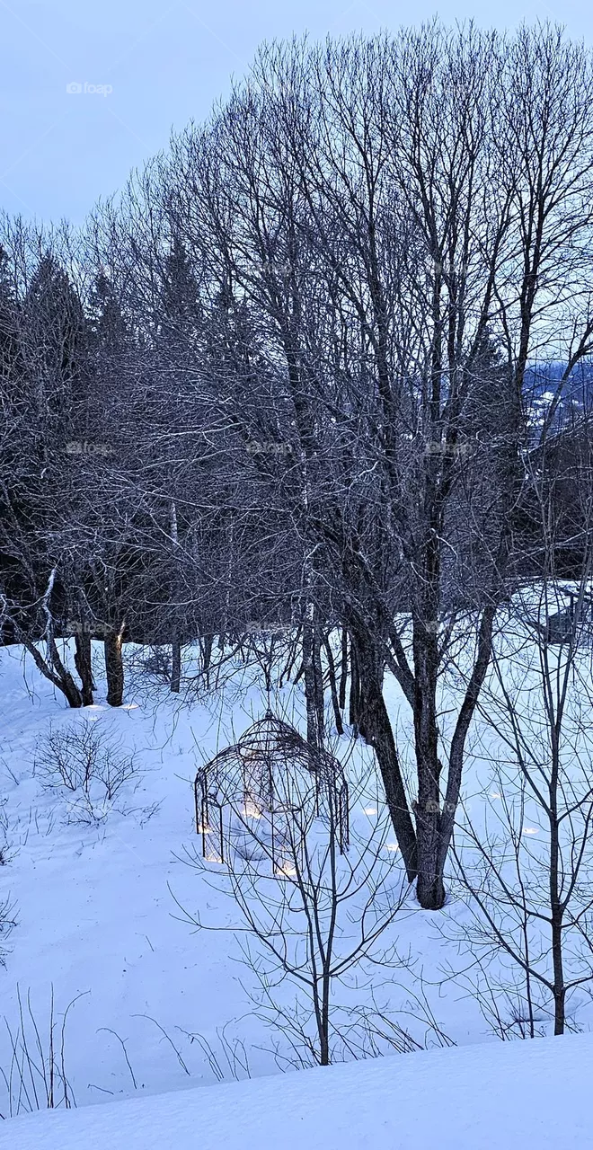 lights in the snow