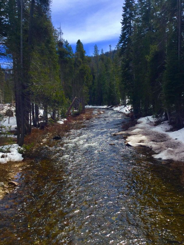 Snowy River