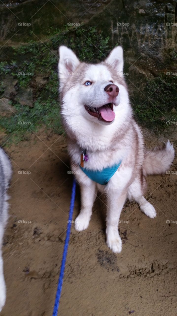 Skyla was happy to be hiking in Mohican