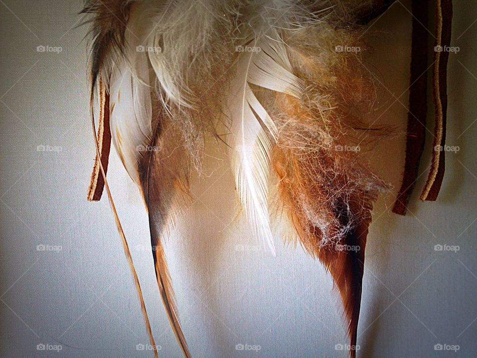 Feathers hanging off Dream catcher 
