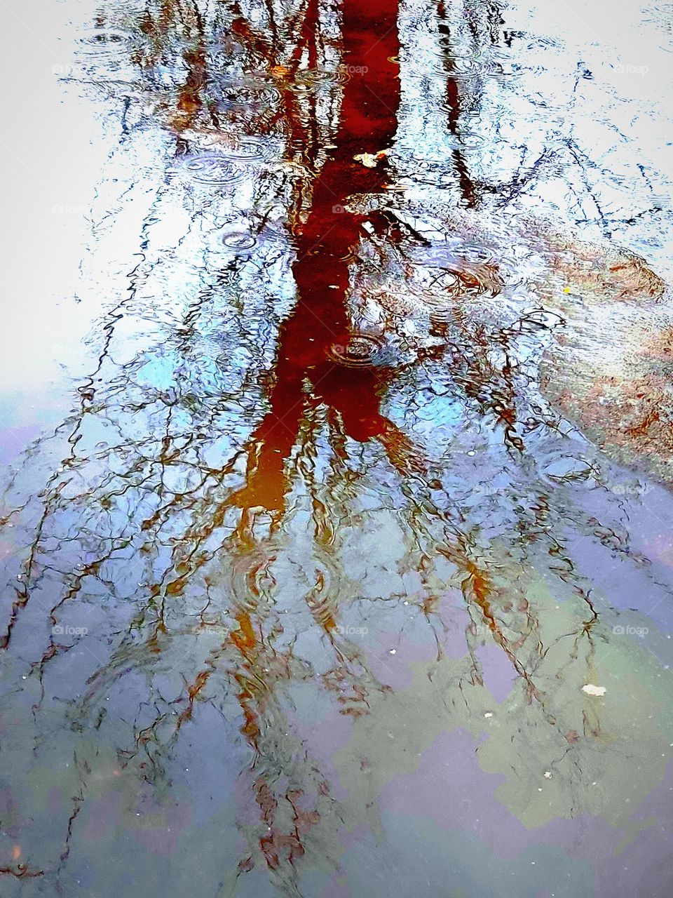 Look, it's all lace, everything is dripping, flowing, and still so bright, exciting, spring!..🌞
     Весенняя акварель