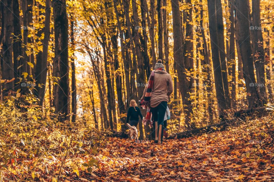 Walking a dog in an autumn park