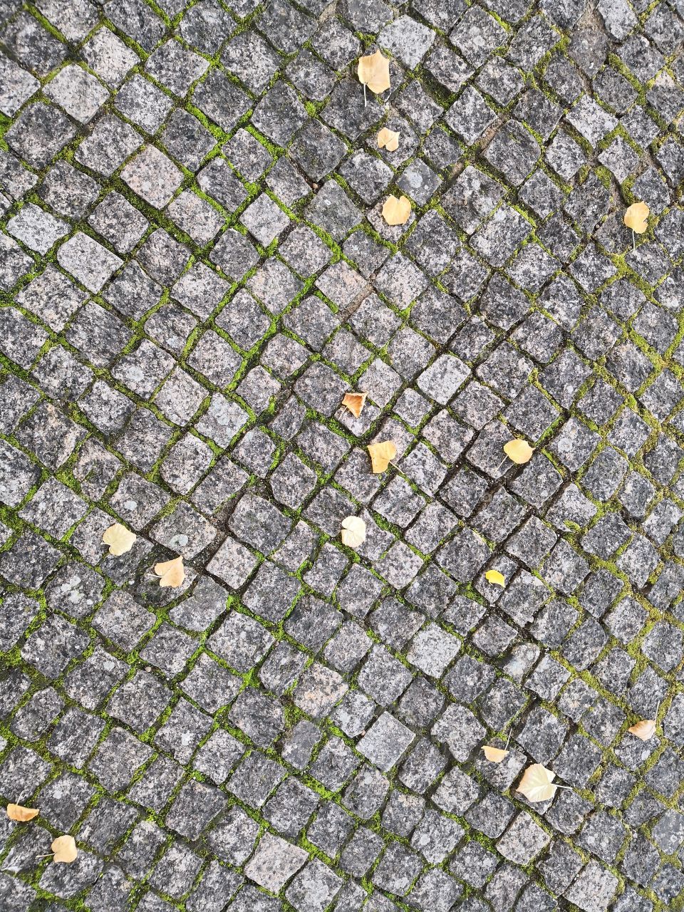 Floor, Castelo de Vide, Portugal