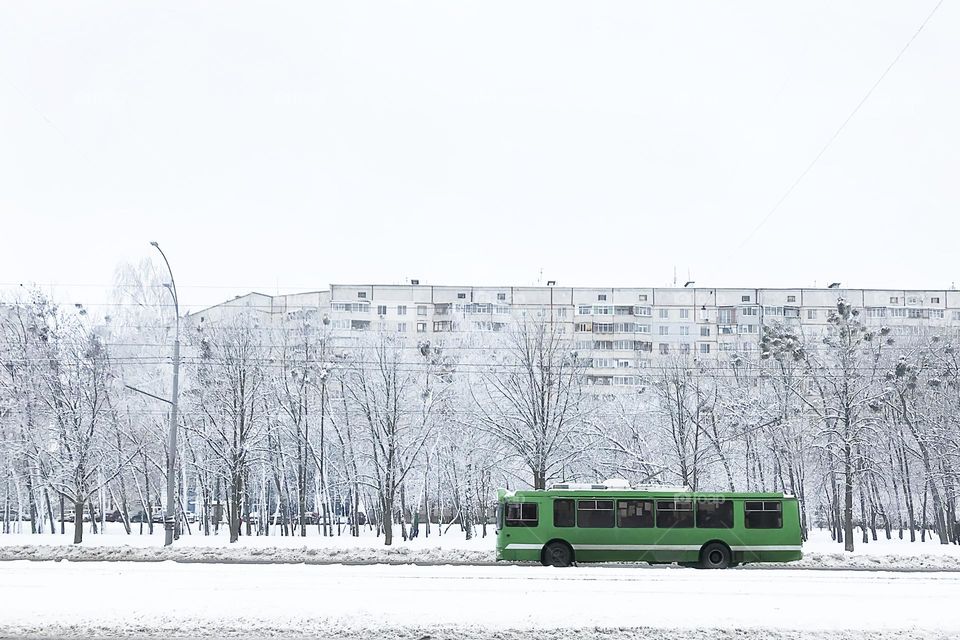 Green trolleybus