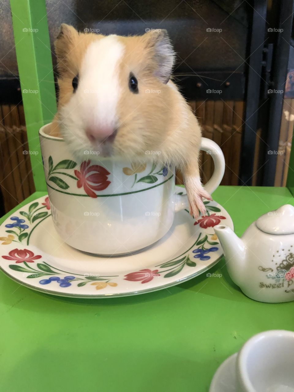 Care for a spot of tea?