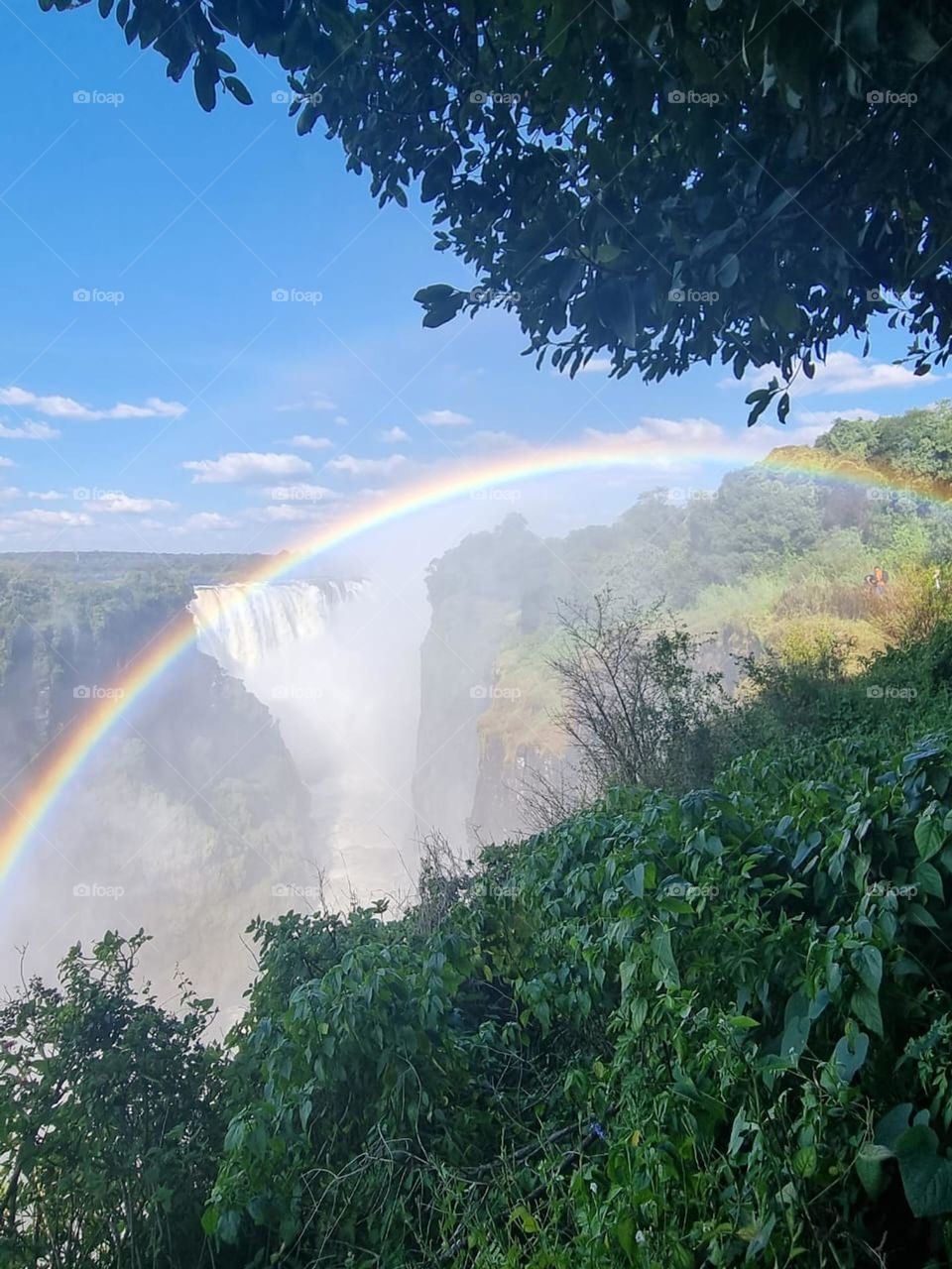 Magnificent rainbow over Victoria falls, awe-inspiring beauty 
