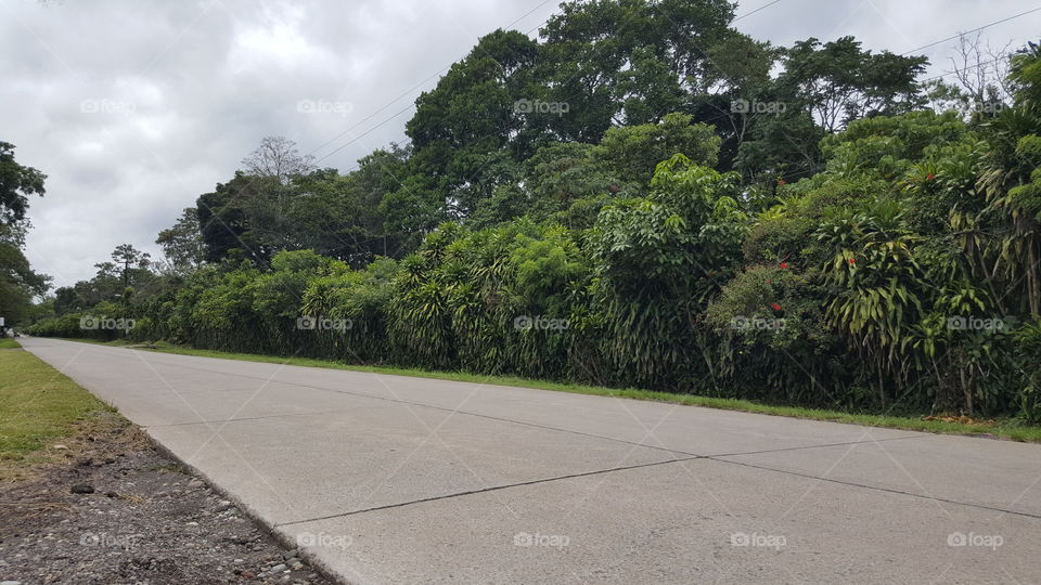Road yo Los Naranjos, Honduras