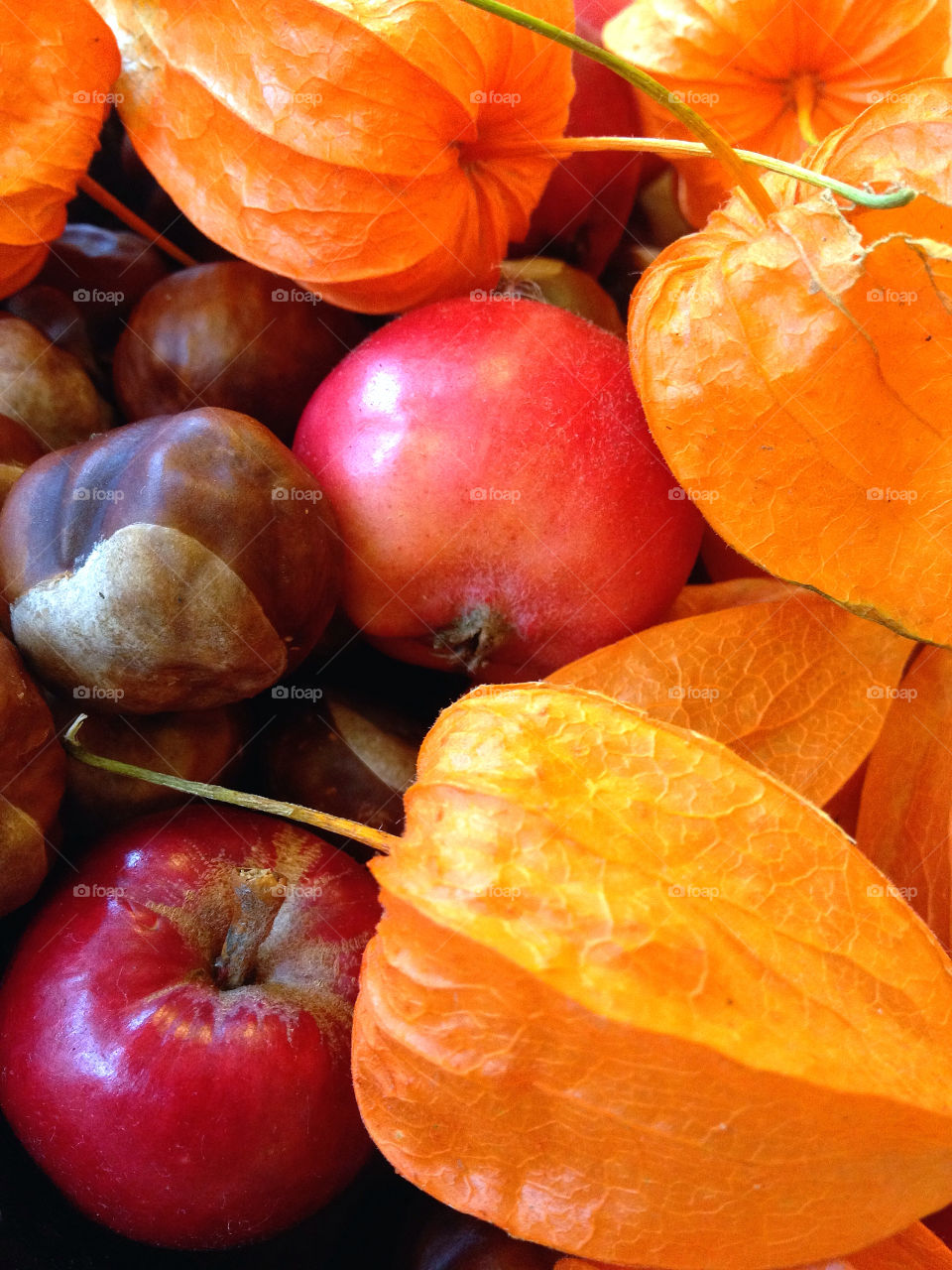 sweden autumn apple höst by elluca