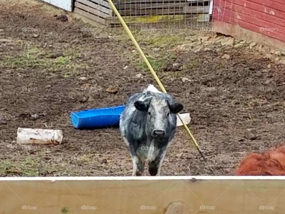 Driving the back Roads enjoying everything around us to