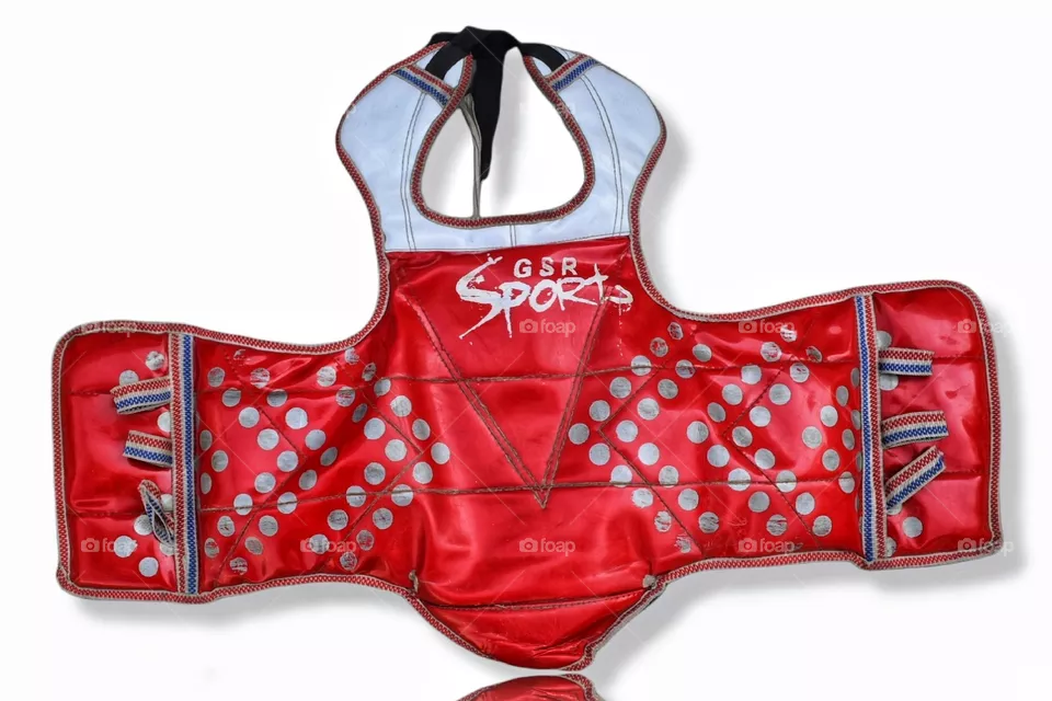 Martial arts fight chest gard