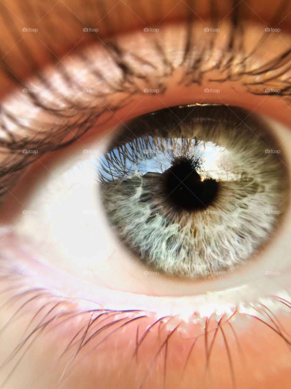 Extreme close-up of Person eye