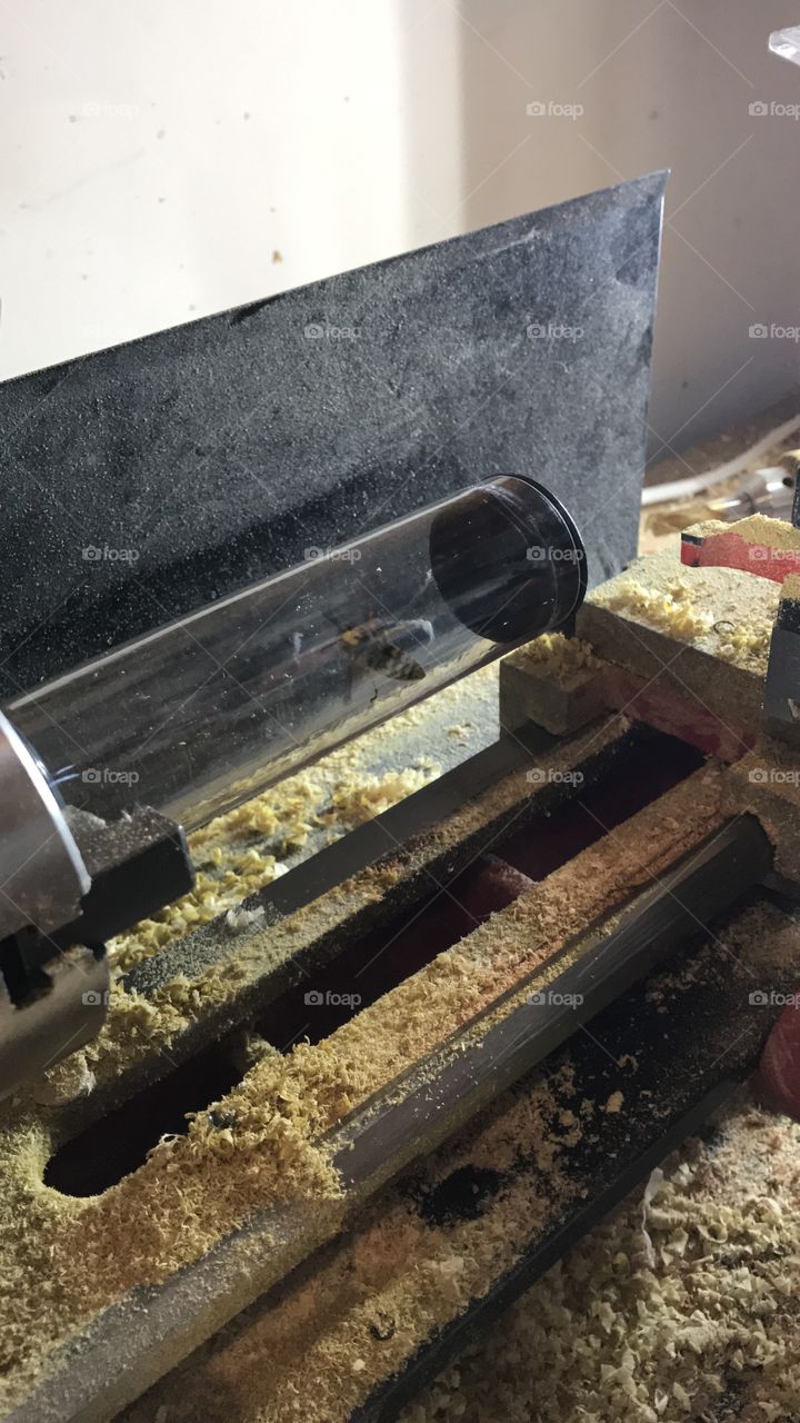 wasp in vile on lathe