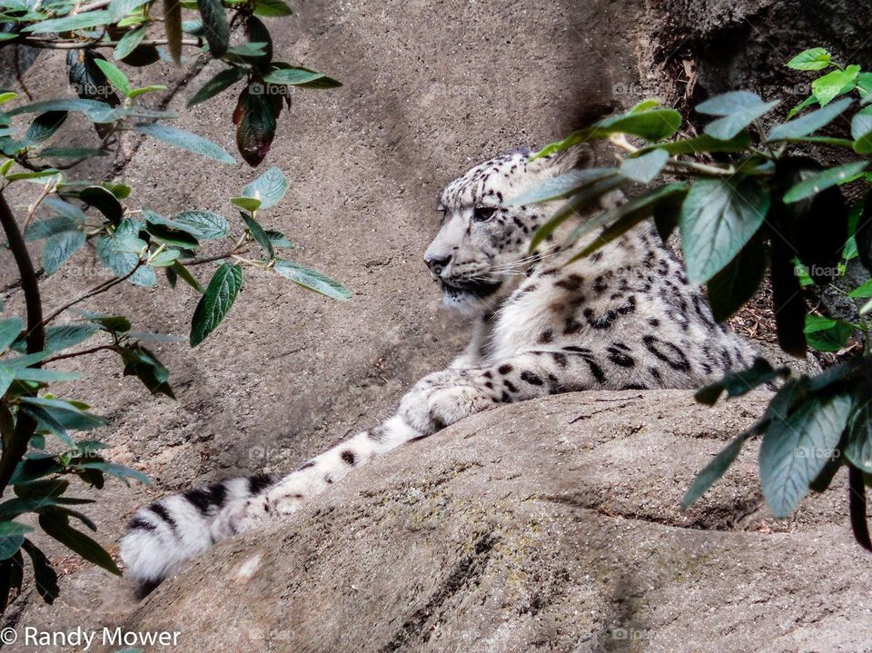 Rodger Williams Park Zoo
Providence RI