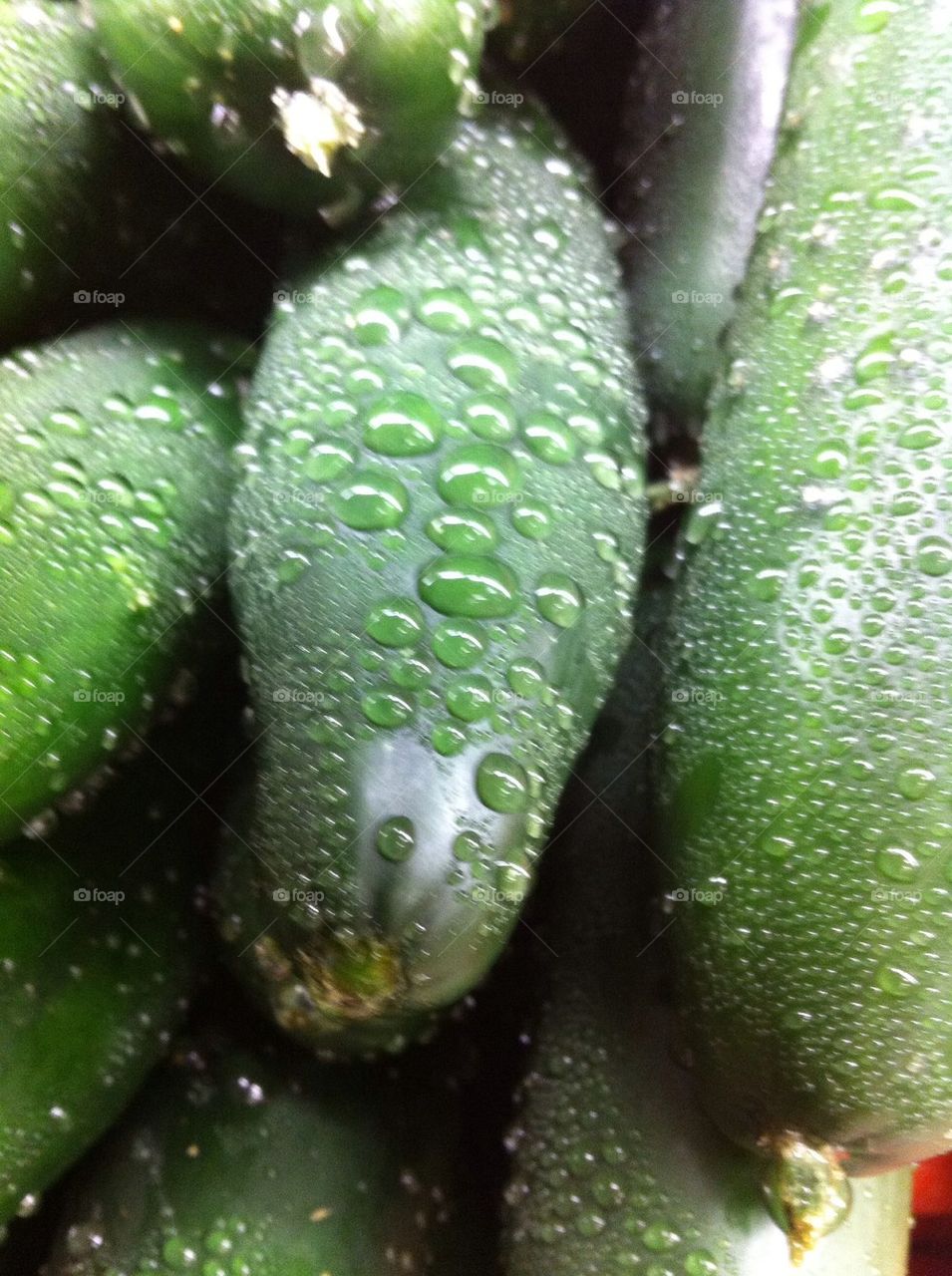 Cucumbers