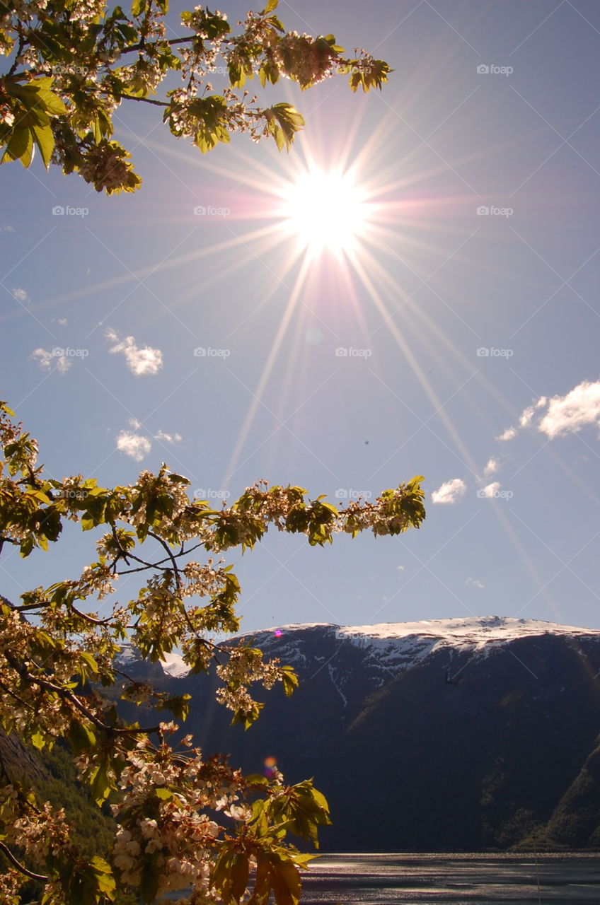 Springtime and snow melting in the mountains