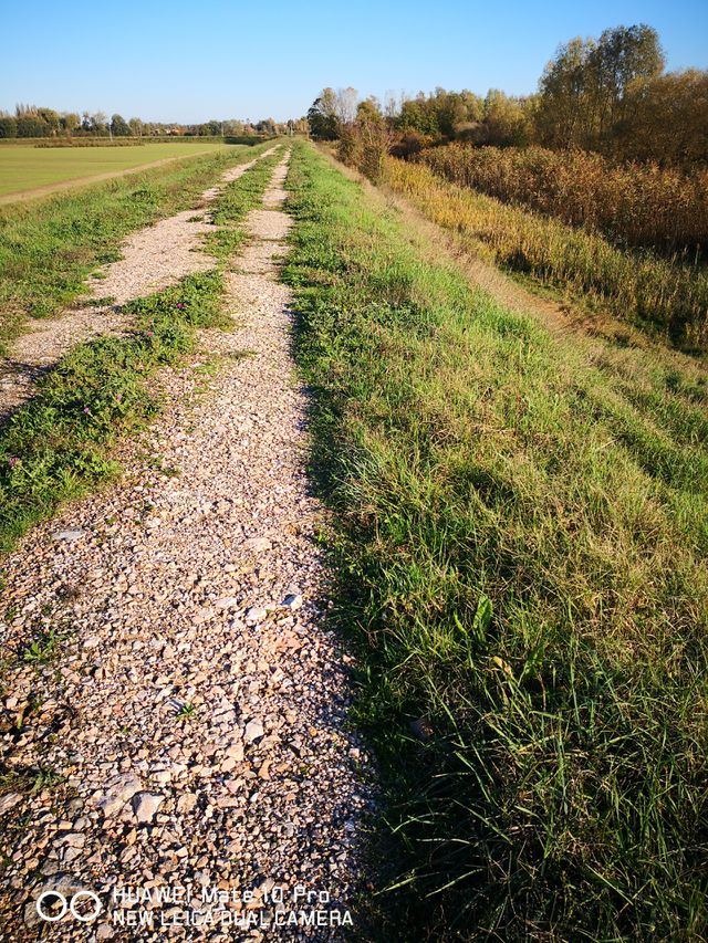 campagna bolognese